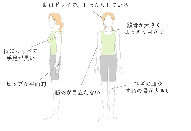 骨格診断がわからない の解決方法 自己診断で迷ったときのポイント Petal ペタル